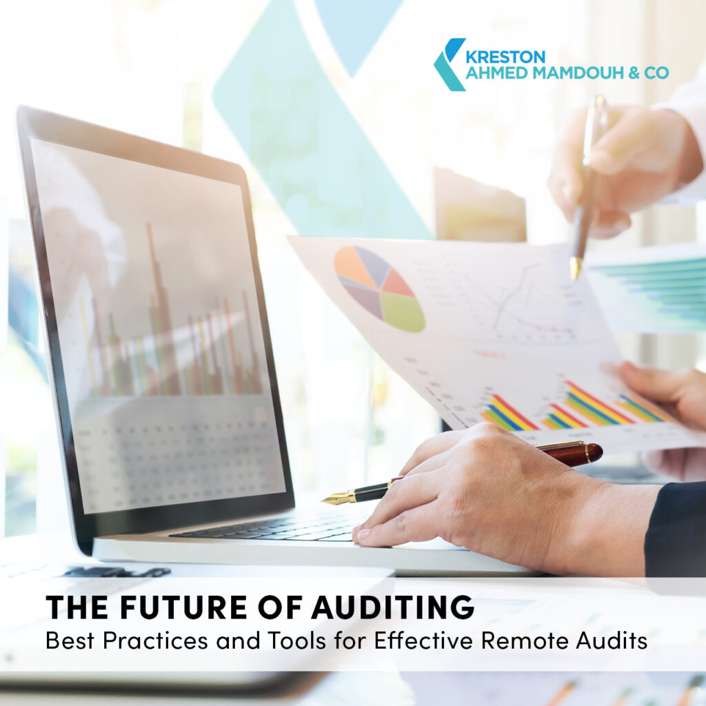 The Future of Auditing